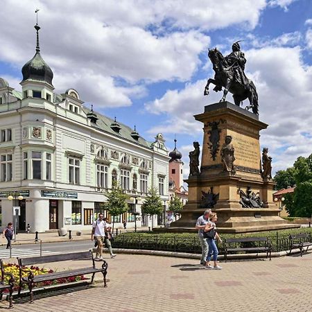Apartment Spa And Fontain Poděbrady Buitenkant foto